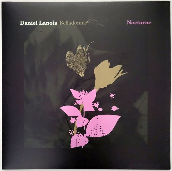 Belladonna Nocturne